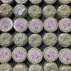 steamers-mint Shower Steamers